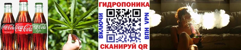 Купить закладки  Западная Двина  Печенье с ТГК конопля 