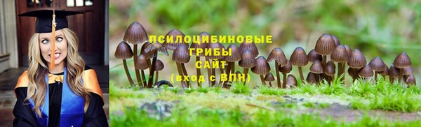 бутират Усмань