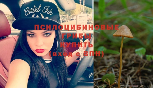 бутират Усмань